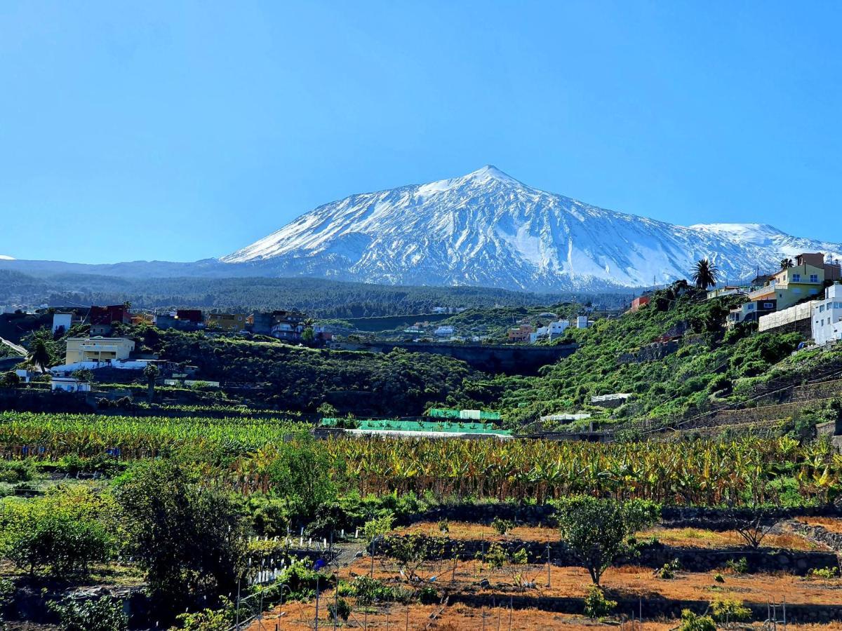 Canarian House Casa Esther In Icod De Los Vinos Dış mekan fotoğraf